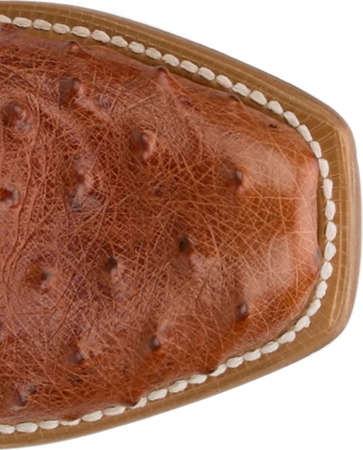 Women's Tony Lama Amber shown on model 