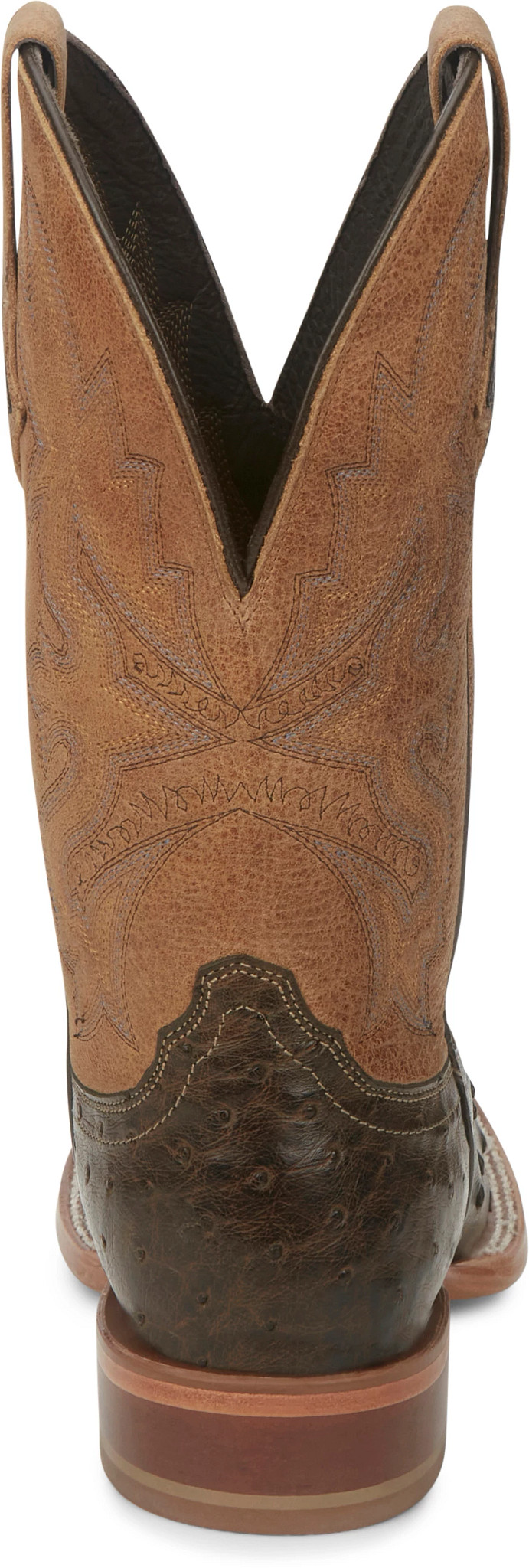 Tori 11