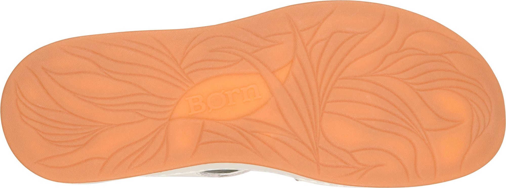 frontal