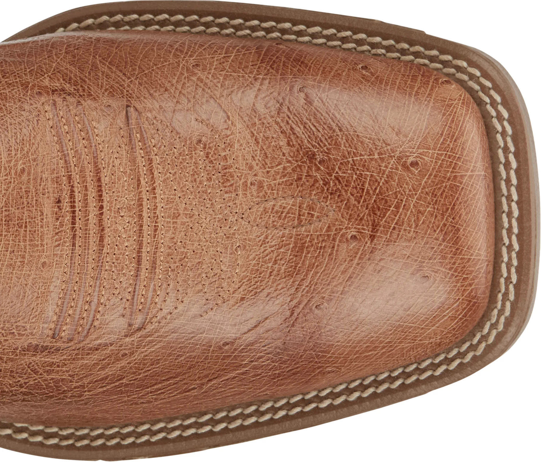Roswell 11" Smooth Ostrich shown on model 