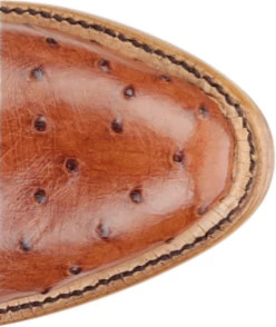 Women's Tony Lama Quintana 15" Western shown on model 