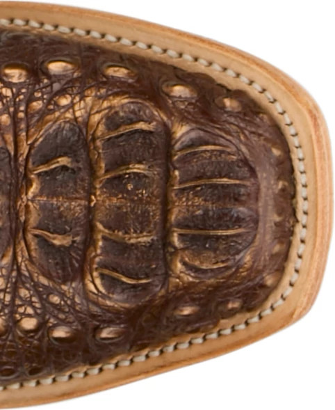 Elena 13" Hornback Caiman shown on model 