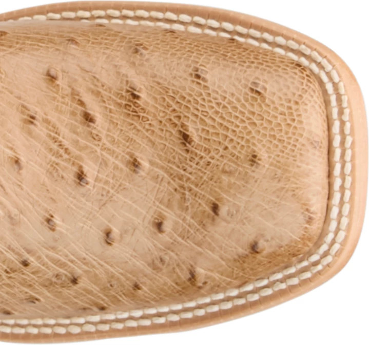 Women's Tony Lama Cheyenne shown on model 