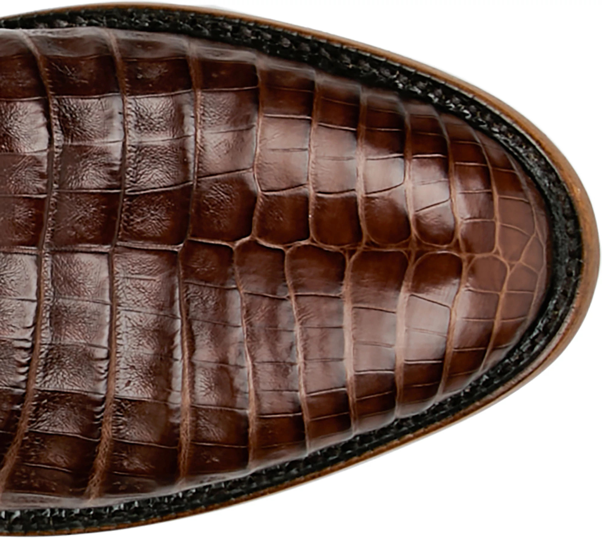 Agustin 13" Belly Caiman shown on model 