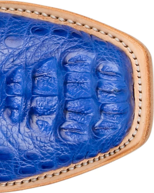 Elena 13" Hornback Caiman shown on model 